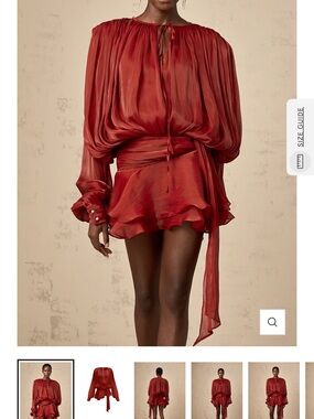 Elegant Red Long-Sleeve Mini Dress
